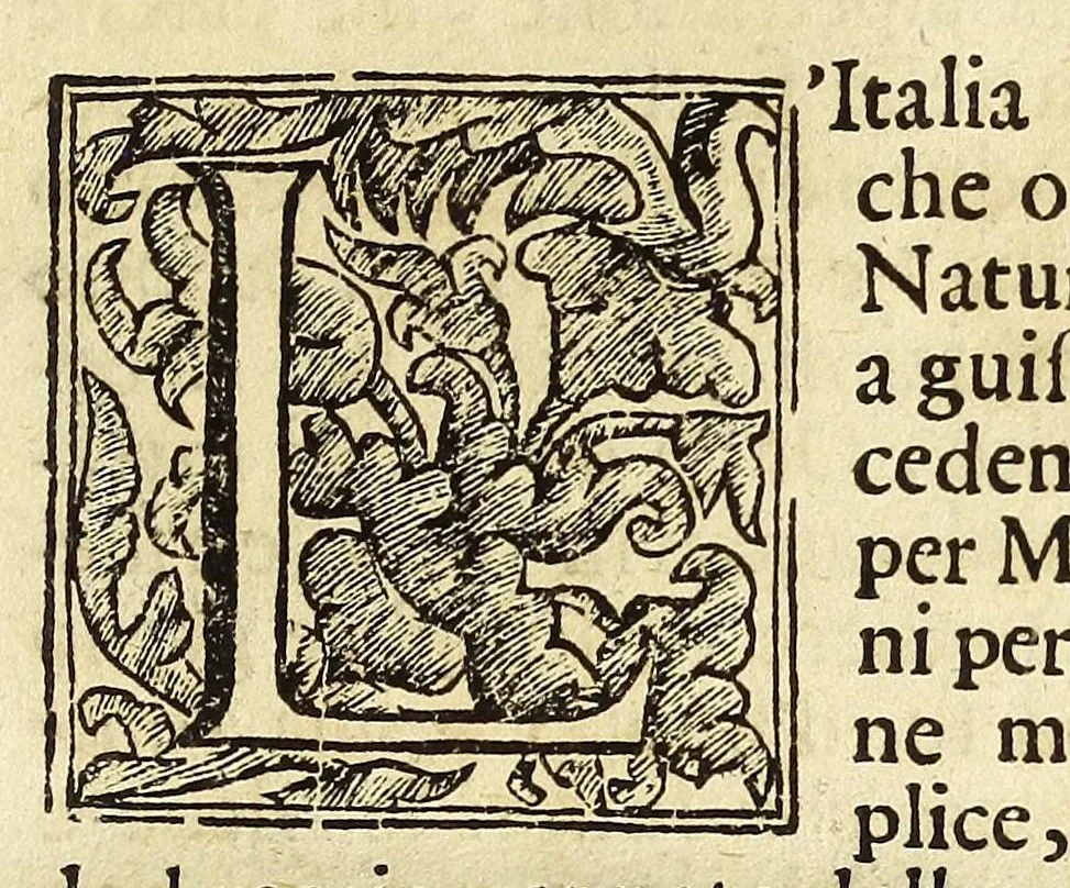 An illustration from Il mercurio araldico in Italia, compendioso blasone di tutte le prouincie e città d'Italia con ordine geografico & istorico, premesso all'Araldo veneto. Instruzione necessaria per leuare ogni equiuoco di segni e figure, ch'entrano negl'armeggi di nobilissime fameglie, con blasoni proprij ad ogni sorte di persone nouamente nobilitate, 1686, leaf 17