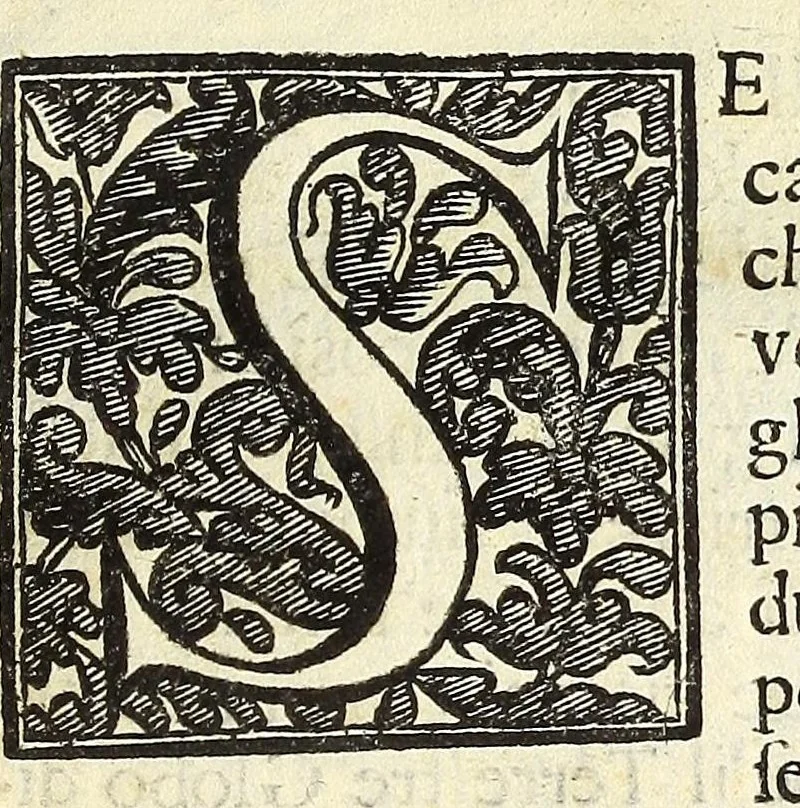 An illustration from Il mercurio araldico in Italia, compendioso blasone di tutte le prouincie e città d'Italia con ordine geografico & istorico, premesso all'Araldo veneto. Instruzione necessaria per leuare ogni equiuoco di segni e figure, ch'entrano negl'armeggi di nobilissime fameglie, con blasoni proprij ad ogni sorte di persone nouamente nobilitate, 1686, leaf 81