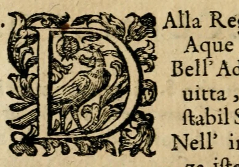 An illustration from Il merito acclamato : armonici tribvti d'osseqvio, consacrati da S.E. il signor Marco Contarini, procurator di S. Marco all'Altezza Serenissima d'Ernesto Avgvsto, vescovo d'Osnabrvg, duca di Bransuich, Luneburgo, &c., in occasione che l' A.S. fauorisce S.E. nel luoco di Piazzola, 1685, leaf 8
