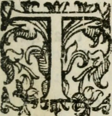 An illustration from Il microcosmo della pittura, overo, Trattato diviso in due libri : nel primo spettante alla theorica si discorre delle grandezze d'essa pittura ... : nel secondo, che in ordine al primo dimostra la pratica, s'additano l'opere diverse più famose ..., 1657, leaf 18