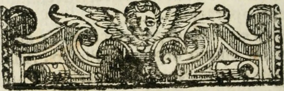 An illustration from Il microcosmo della pittura, overo, Trattato diviso in due libri : nel primo spettante alla theorica si discorre delle grandezze d'essa pittura ... : nel secondo, che in ordine al primo dimostra la pratica, s'additano l'opere diverse più famose ..., 1657, leaf 255