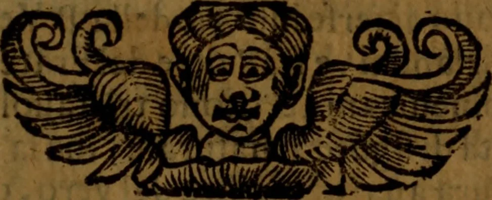 An illustration from Il microcosmo della pittvra : ouero trattato diuiso in due libri. Nel primo spettante alla theorica si discorre delle grandezze d'essa pittura ... Nel Secondo, che in ordine al primo dimostra la pratica ..., 1657, leaf 178