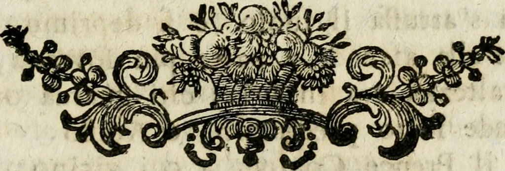 An illustration from Il mondo della luna. Poema eroico-comico, 1754, leaf 156