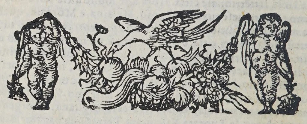 An illustration from Il mondo e sue parti cioe Europa, Affrica, Asia, et America. : Nel quale, oltre alle tauole in disegno, si discorre delle sue prouincie, regni, regioni, città ... e costumi., 1595, leaf 134