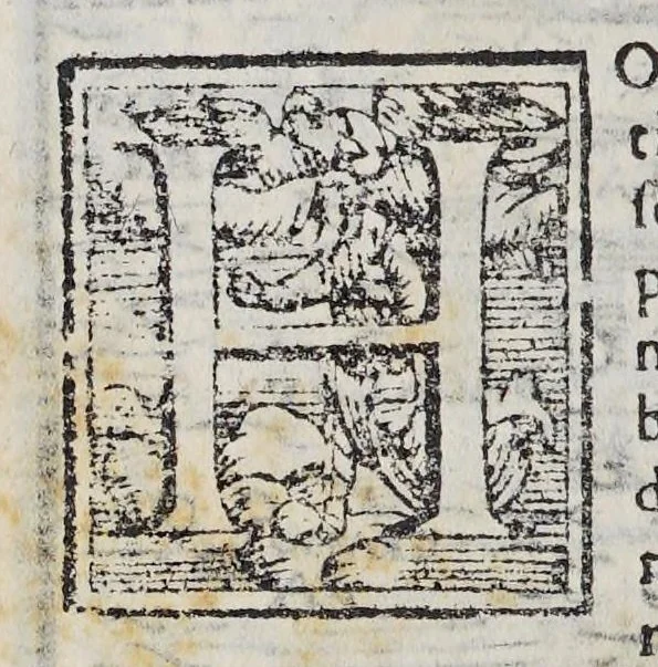 An illustration from Il mondo e sue parti cioe Europa, Affrica, Asia, et America. : Nel quale, oltre alle tauole in disegno, si discorre delle sue prouincie, regni, regioni, città ... e costumi., 1595, leaf 174
