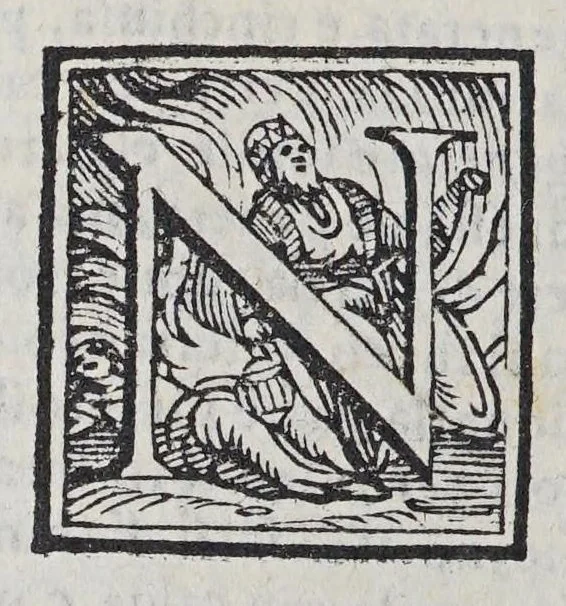 An illustration from Il mondo e sue parti cioe Europa, Affrica, Asia, et America. : Nel quale, oltre alle tauole in disegno, si discorre delle sue prouincie, regni, regioni, città ... e costumi., 1595, leaf 28