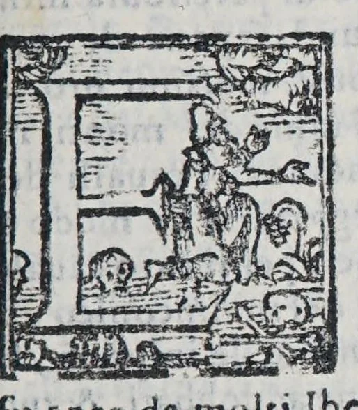 An illustration from Il mondo e sue parti cioe Europa, Affrica, Asia, et America. : Nel quale, oltre alle tauole in disegno, si discorre delle sue prouincie, regni, regioni, città ... e costumi., 1595, leaf 53
