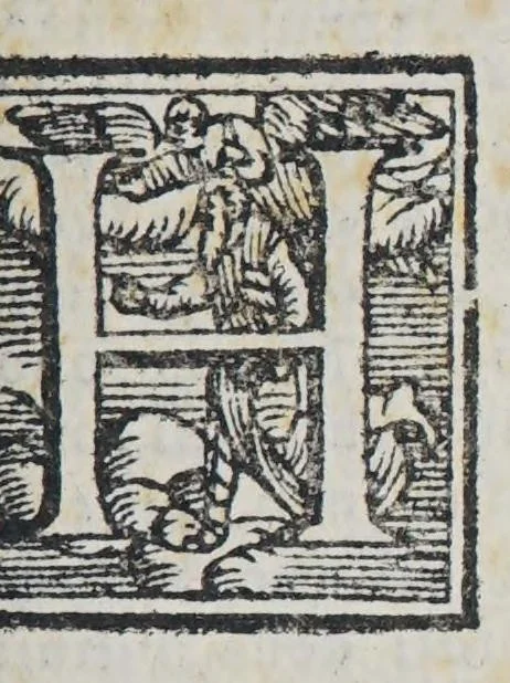 An illustration from Il mondo e sue parti cioe Europa, Affrica, Asia, et America. : Nel quale, oltre alle tauole in disegno, si discorre delle sue prouincie, regni, regioni, città ... e costumi., 1595, leaf 85