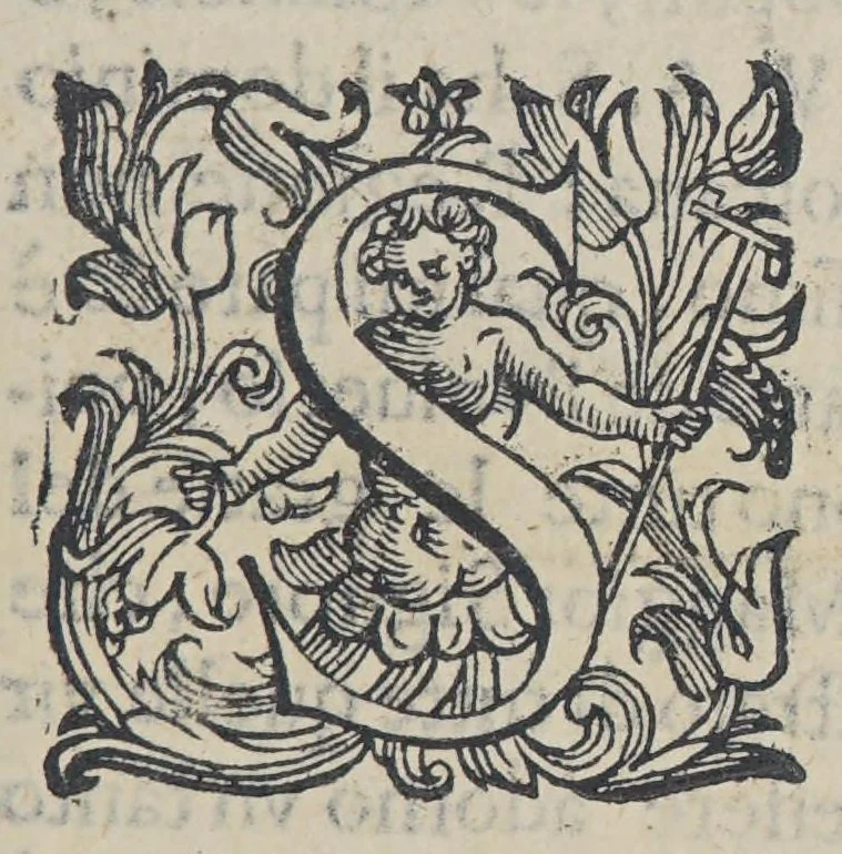 An illustration from Il mondo e sue parti cioe Europa, Affrica, Asia, et America. : Nel quale, oltre alle tauole in disegno, si discorre delle sue prouincie, regni, regioni, città ... e costumi., 1595, leaf 9