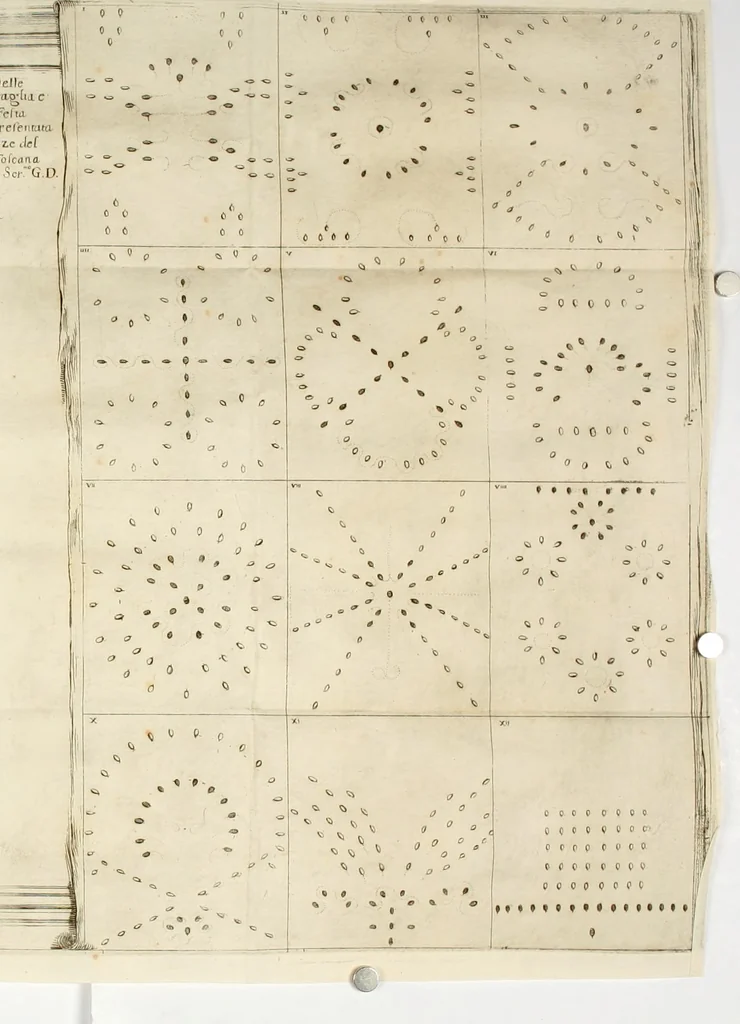 An illustration from Il Mondo festeggiante : balletto a cavallo, fatto nel teatro congiunto al palazzo del sereniss. gran dvca, per le reali nozze de' serenissimi principi Cosimo Terzo di Toscana, e Margherita Lvisa d'Orleans, 1661, leaf 45