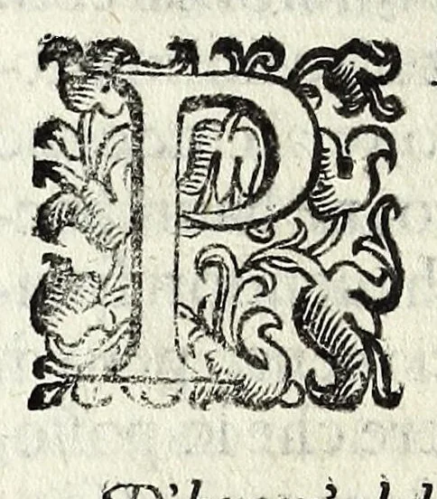 An illustration from Il mostruosissimo mostro, 1611, leaf 12