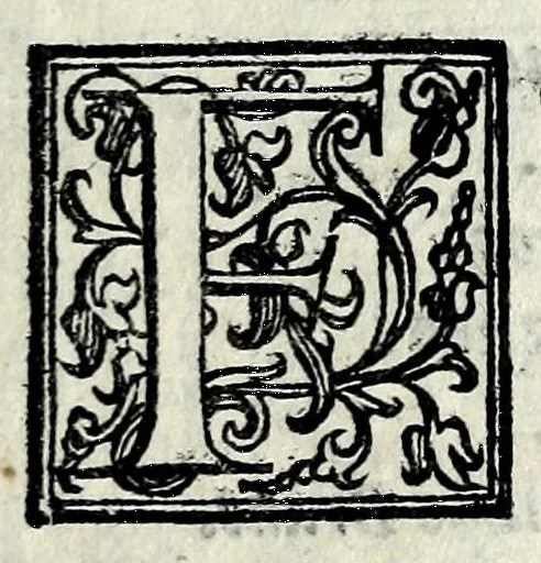 An illustration from Il mostruosissimo mostro, 1611, leaf 13