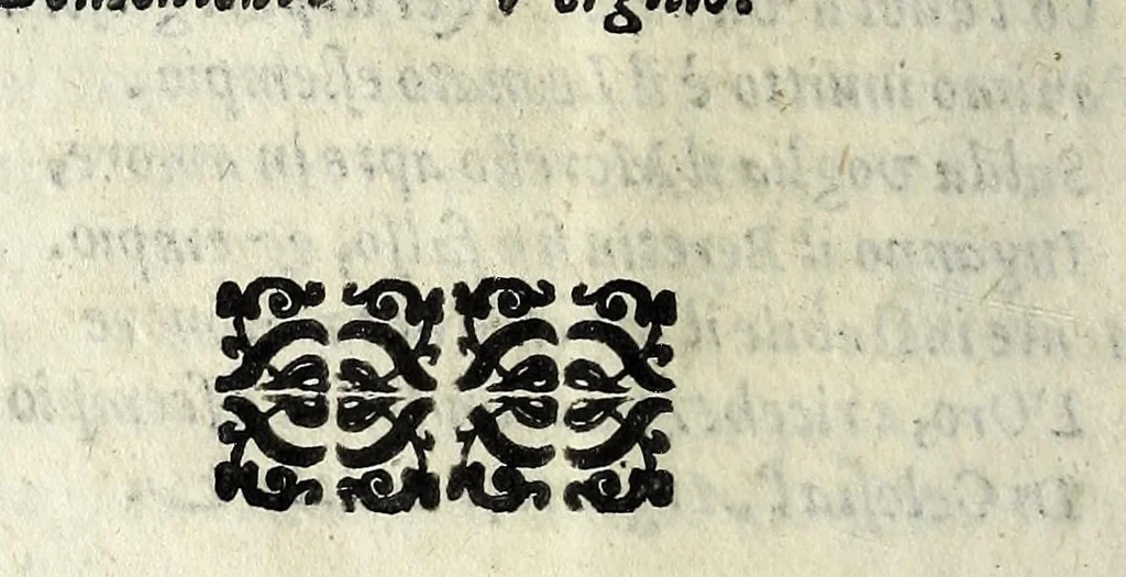An illustration from Il mostruosissimo mostro, 1611, leaf 14