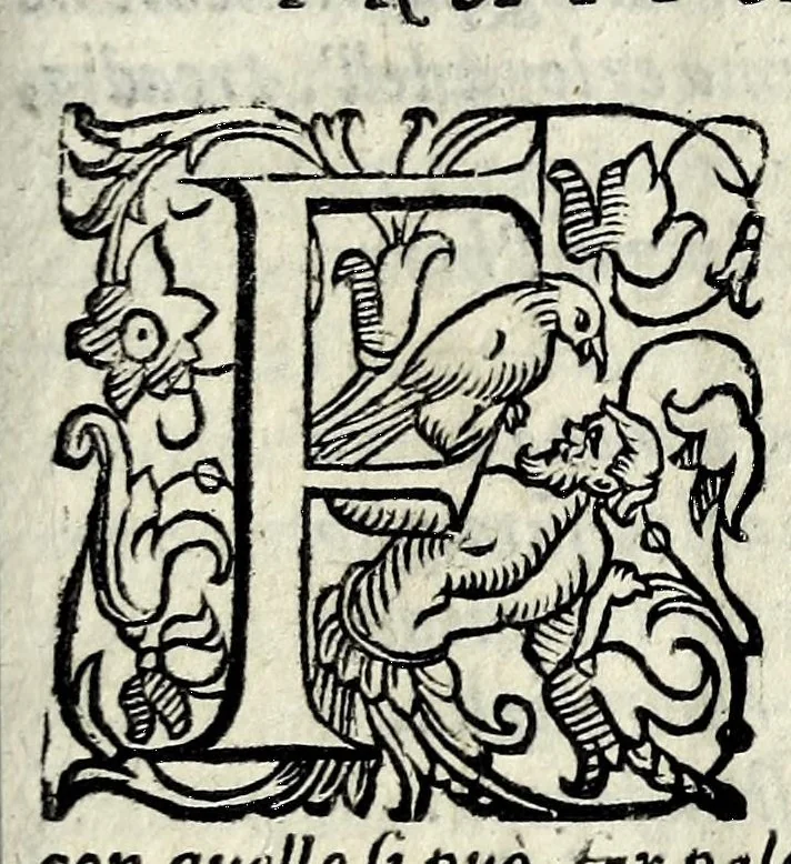 An illustration from Il mostruosissimo mostro, 1611, leaf 15