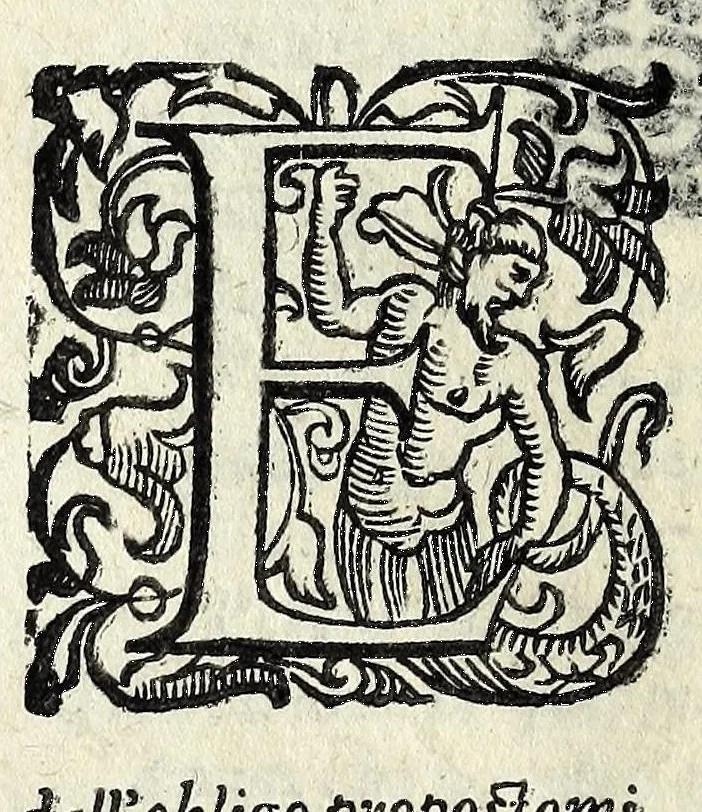 An illustration from Il mostruosissimo mostro, 1611, leaf 72