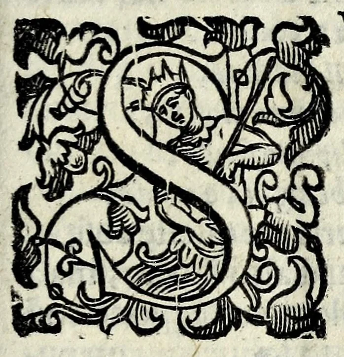 An illustration from Il mostruosissimo mostro, 1611, leaf 9