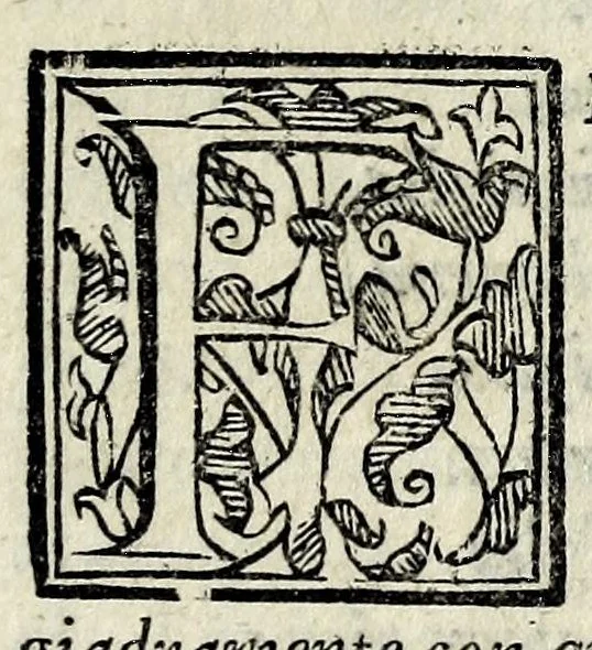An illustration from Il mostrvosissimo mostro, 1592, leaf 13