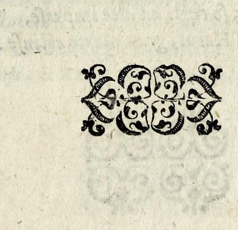 An illustration from Il mostrvosissimo mostro, 1592, leaf 9