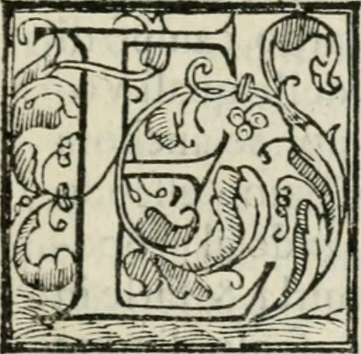 An illustration from Il nobilissimo et ricchissimo torneo fatto nella magnifica città di Piacenza nella venuta del Serenissimo Don Giovanni d'Avstria, 1574, leaf 6
