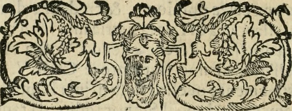 An illustration from Il nobilissimo et ricchissimo torneo fatto nella magnifica città di Piacenza nella venuta del Serenissimo Don Giovanni d'Avstria, 1574, leaf 9
