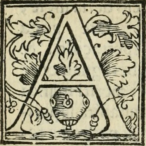 An illustration from Il nobilissimo et ricchissimo torneo fatto nella magnifica città di Piacenza nella venuta del Serenissimo Don Giovanni d'Avstria, 1574, leaf 9