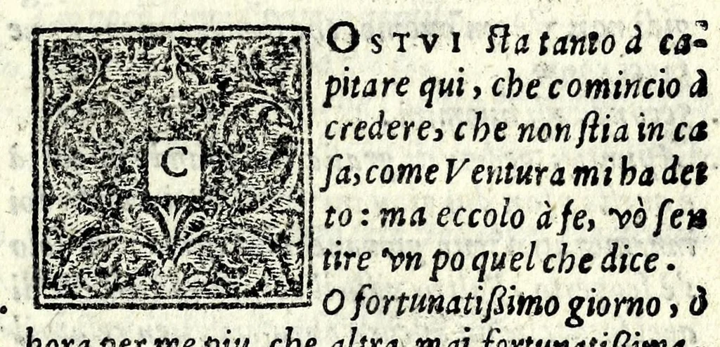 An illustration from Il padre afflitto, 1578, leaf 109