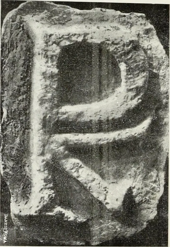 An illustration from Il Palazzo Vidoni in Roma appartenente al conte Filippo Vitali : monografia storica con illustrazioni, 1905, leaf 27