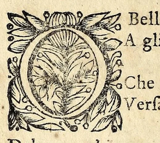 An illustration from Il pastor infido : pastorale : dedicata all' AA. SS. EE. di Federico III e Carlotta Sofia di Brandemburgo &c. &c. &c., 1696, leaf 30