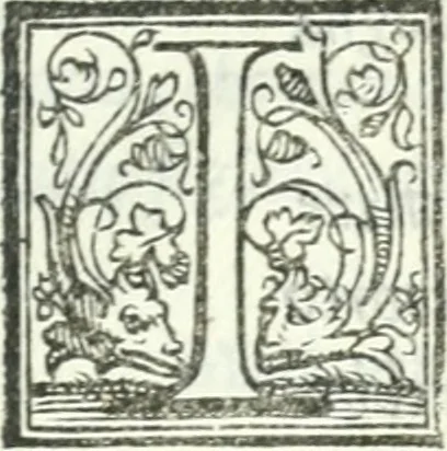 An illustration from Il pellegrino : comedia nova, 1552, leaf 48