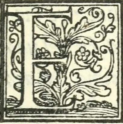 An illustration from Il pellegrino : comedia nova, 1552, leaf 8
