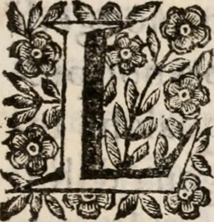 An illustration from Il pennello lagrimato : orazione funebre, 1665, leaf 14