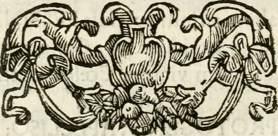 An illustration from Il pennello lagrimato : orazione funebre, 1665, leaf 73