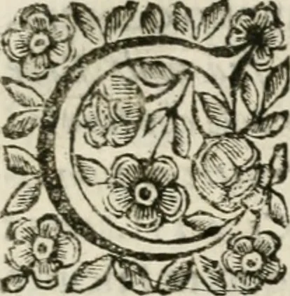An illustration from Il pennello lagrimato : orazione funebre, 1665, leaf 8