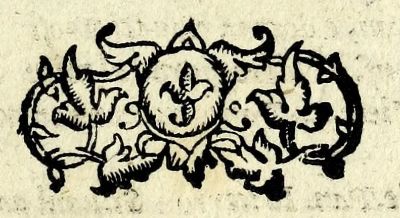 An illustration from Il pentimento amoroso : nvova favola pastorale, 1576, leaf 191