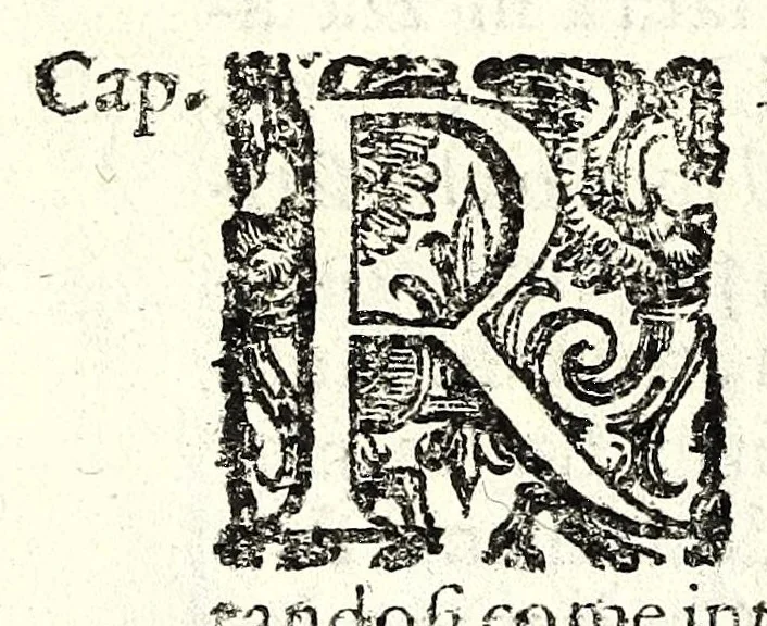 An illustration from Il perfeto bombardiero et real instruttione di artiglieri, 1626, leaf 100