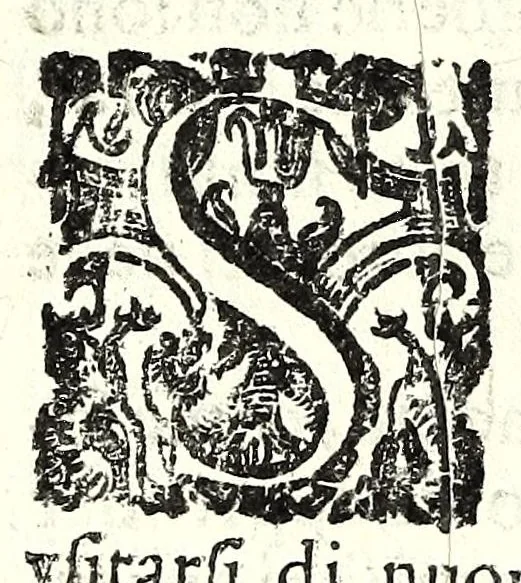 An illustration from Il perfeto bombardiero et real instruttione di artiglieri, 1626, leaf 120