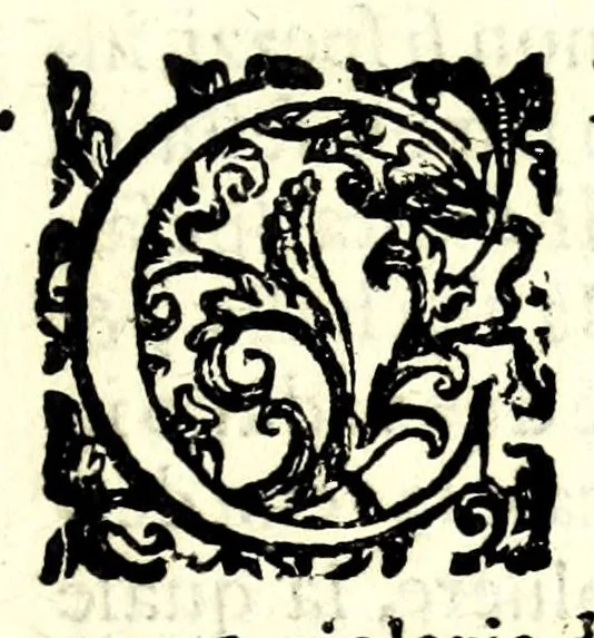 An illustration from Il perfeto bombardiero et real instruttione di artiglieri, 1626, leaf 125