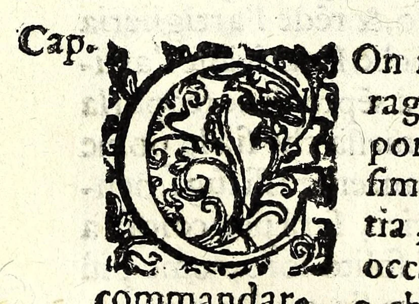 An illustration from Il perfeto bombardiero et real instruttione di artiglieri, 1626, leaf 132