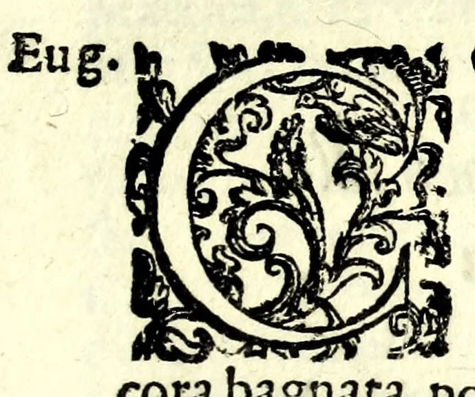 An illustration from Il perfeto bombardiero et real instruttione di artiglieri, 1626, leaf 163