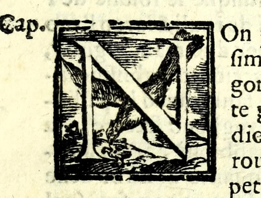 An illustration from Il perfeto bombardiero et real instruttione di artiglieri, 1626, leaf 179