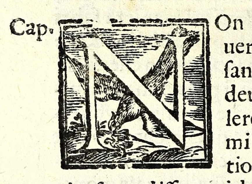 An illustration from Il perfeto bombardiero et real instruttione di artiglieri, 1626, leaf 192