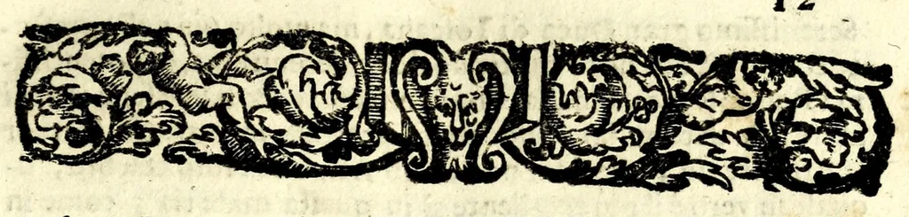 An illustration from Il perfeto bombardiero et real instruttione di artiglieri, 1626, leaf 41