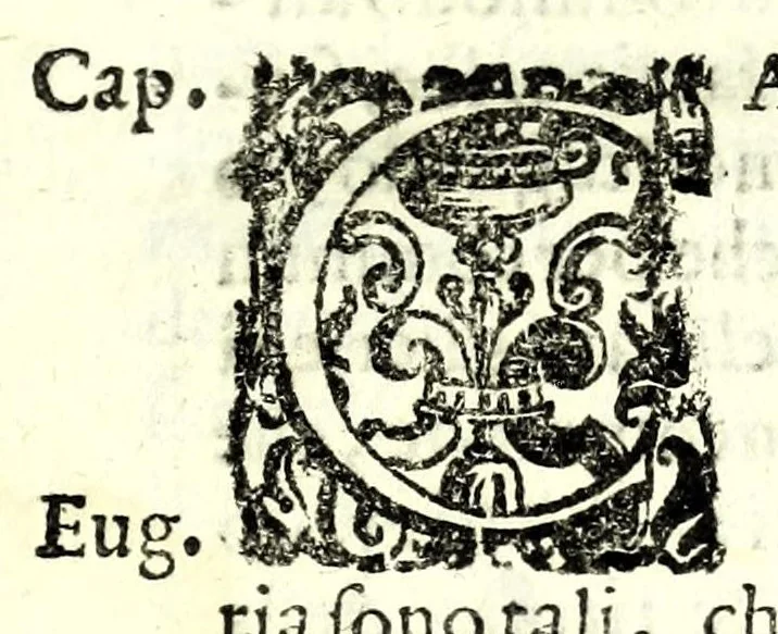 An illustration from Il perfeto bombardiero et real instruttione di artiglieri, 1626, leaf 61