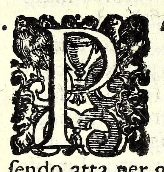 An illustration from Il perfeto bombardiero et real instruttione di artiglieri, 1626, leaf 74