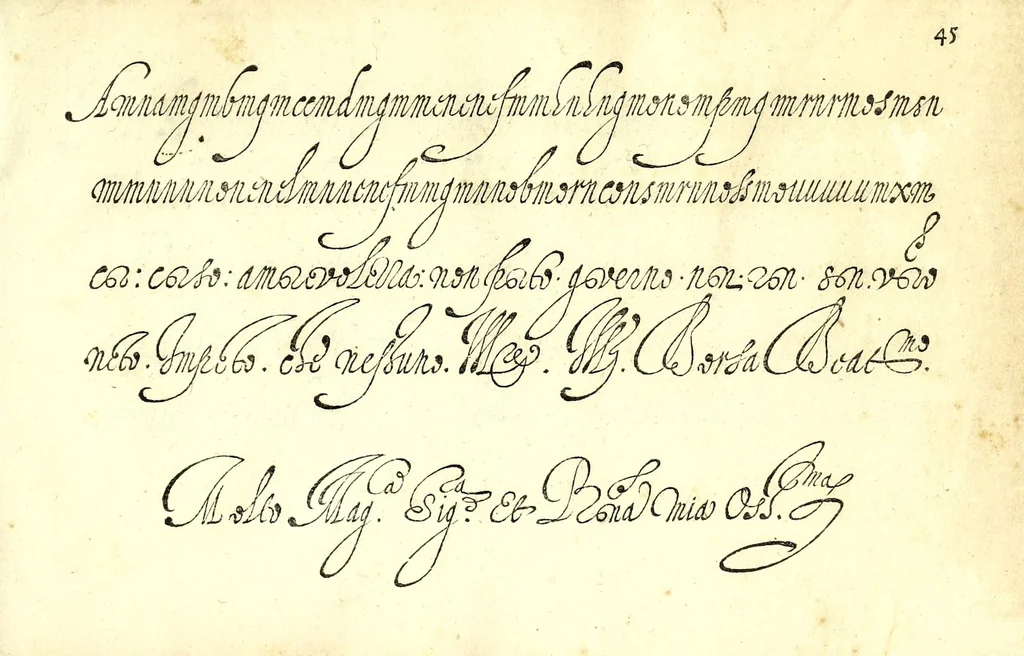 An illustration from Il perfetto cancellaresco corsivo, 1579, leaf 105