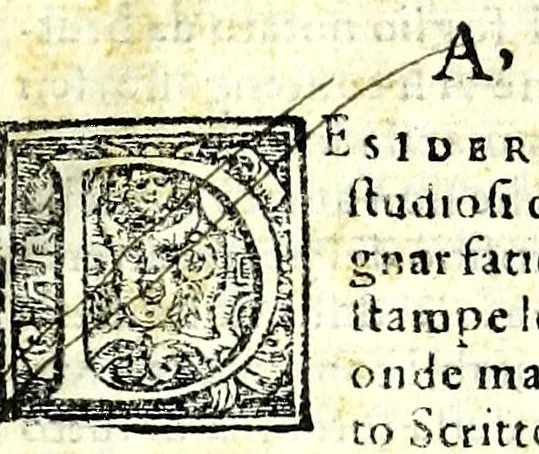 An illustration from Il perfetto cancellaresco corsivo, 1579, leaf 11