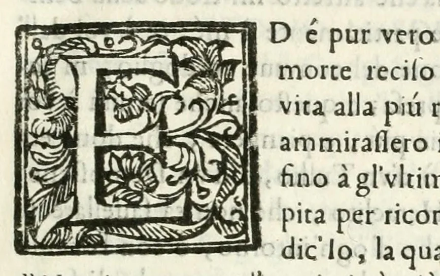An illustration from Il pianto di Vercelli : oratione fvnebre fatta dal canonico teologo Pietro Antonio Mvzzone nelle solenni essequie di M.R. Christina di Francia, dvchessa di Savoia, regina di Cipro, &c., celebrate nel duomo dalli illvstrissimi signori decvrioni e dal popolo della città, li 24. genaro 1664, 1664, leaf 11