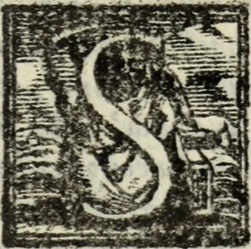 An illustration from Il prencipe di Nicolo Machiavelli : al magnifico Lorenzo di Piero de Medici ; La vita di Castrvccio Castracani da Luca ; Il modo, che tenne il dvca Valentino per ammazzare Vitellozzo Vitelli, Oliuerotto da Fermo, il S. Paolo, & Duca di Grauina ; I ritratti delle cose della Francia, & dell'Amagna, 1554, leaf 14