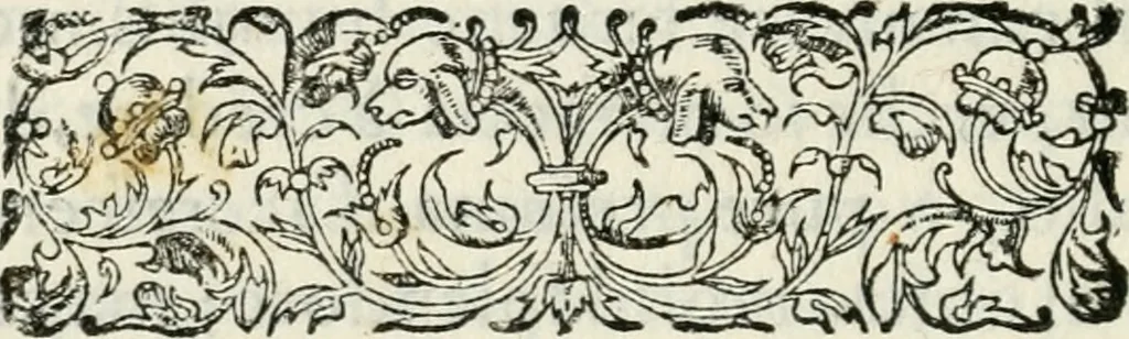 An illustration from Il primo libro del trattato delle perfette proporzioni, di tutte le cose che imitare, e ritrarre si possano con l'arte del disegno, 1567, leaf 13