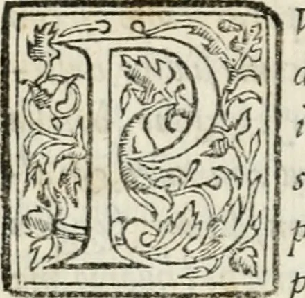 An illustration from Il primo libro del trattato delle perfette proporzioni, di tutte le cose che imitare, e ritrarre si possano con l'arte del disegno, 1567, leaf 27